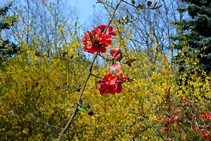  � ������ �� �������� ... 